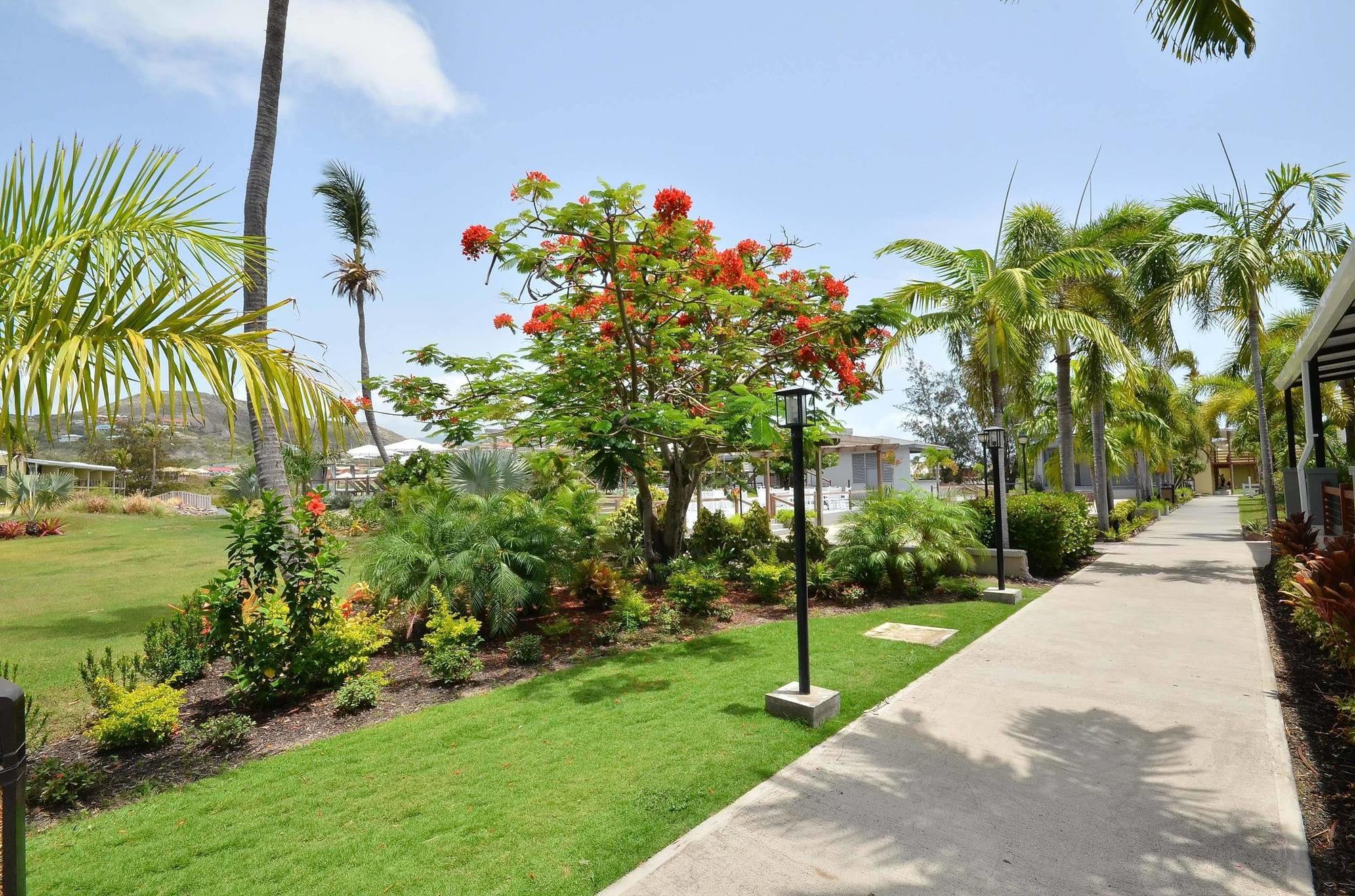 Royal St. Kitts Hotel Фригейт-Бэй Экстерьер фото